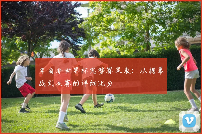 年南非世界杯完整赛果表:从揭幕战到决赛的详细比分