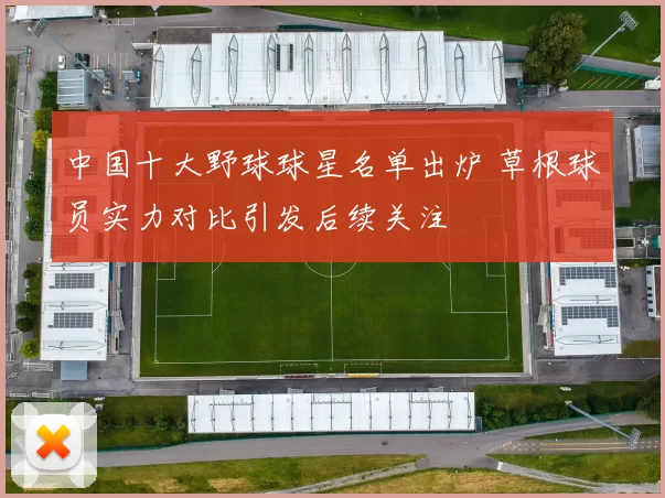 中国十大野球球星名单出炉 草根球员实力对比引发后续关注