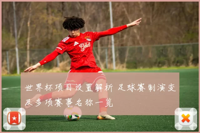 世界杯项目设置解析 足球赛制演变及多项赛事名称一览