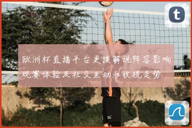 欧洲杯直播平台更换解说阵容影响观赛体验及社交互动和收视走势