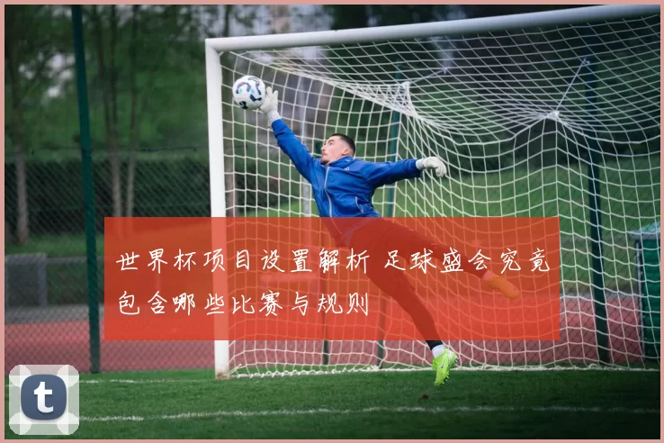 世界杯项目设置解析 足球盛会究竟包含哪些比赛与规则